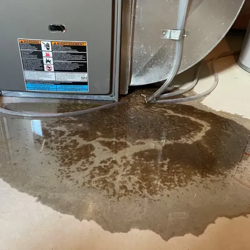 Appliance Leak Cleanup in Hanover, MA